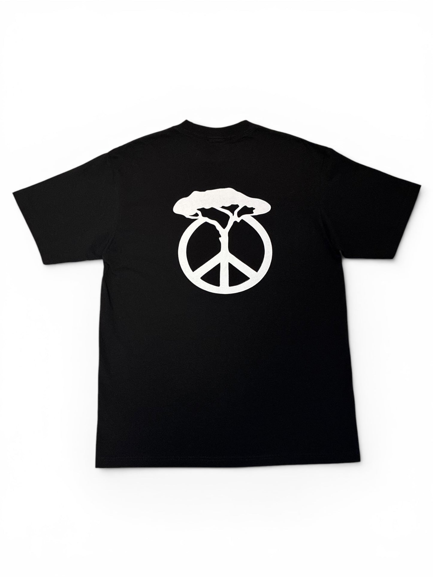 Taijitu YIN & YANG T-Shirt